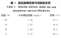 污泥泥龄对除磷效果影响